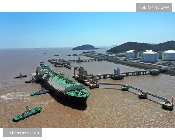 阿尔巴最新采访揭示未来战略方向引发广泛关注