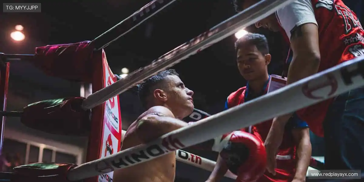 👟 专业装备,个性设计,